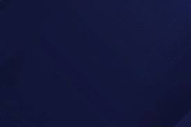 图片报：巴萨希望签下一名左边锋，正关注莱比锡的迪奥曼德